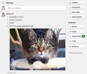 Trello, Kanban, Board, online, kostenlos, Update