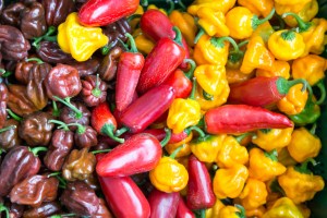 placetobw, bw-jetzt, visitbawu, Pforzheim,  Chili, Sauce, Soße, scharf, Ketchup, BBQ, Barbecue