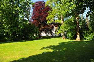 Hotel, Luxus, fünf Sterne, Michelin, Stern, Restaurant, Park, Golf, Spa, Wellness, Hohenlohe, Zweiflingen, Friedrichsruhe, Ambiente, Wohlfühlen