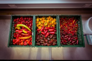 Chili, Soße, Sauce, Ketchup, BBQ, Barbecue, Hot, scharf, Manufaktur, Painmaker, Nowak, Herstellung