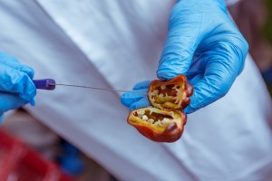 Chili, Soße, Sauce, Ketchup, BBQ, Barbecue, Hot, scharf, Manufaktur, Painmaker, Nowak, Herstellung